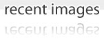 recent images